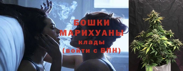 эйфоретик Бородино