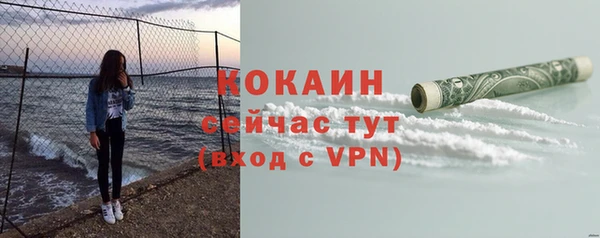 эйфоретик Бородино