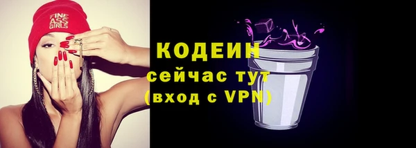 эйфоретик Бородино
