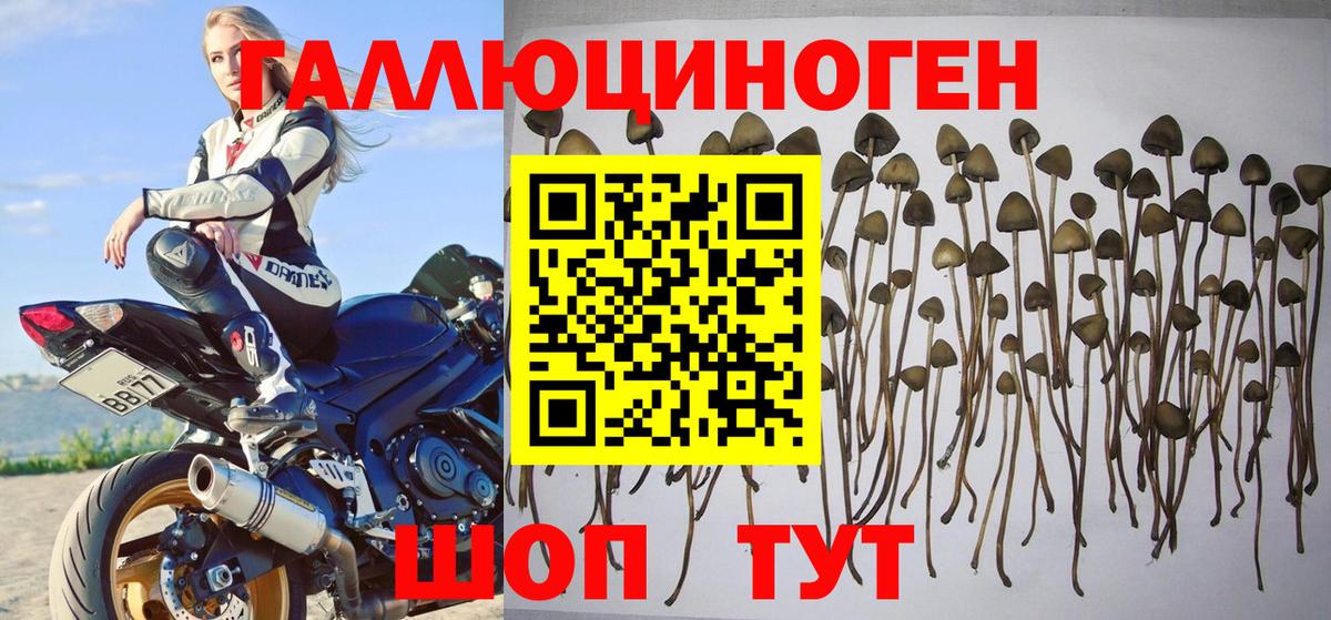 Балтийск  Псилоцибиновые грибы MAGIC MUSHROOMS  Галлюциногенные грибы ЛСД  Вход с VPN 