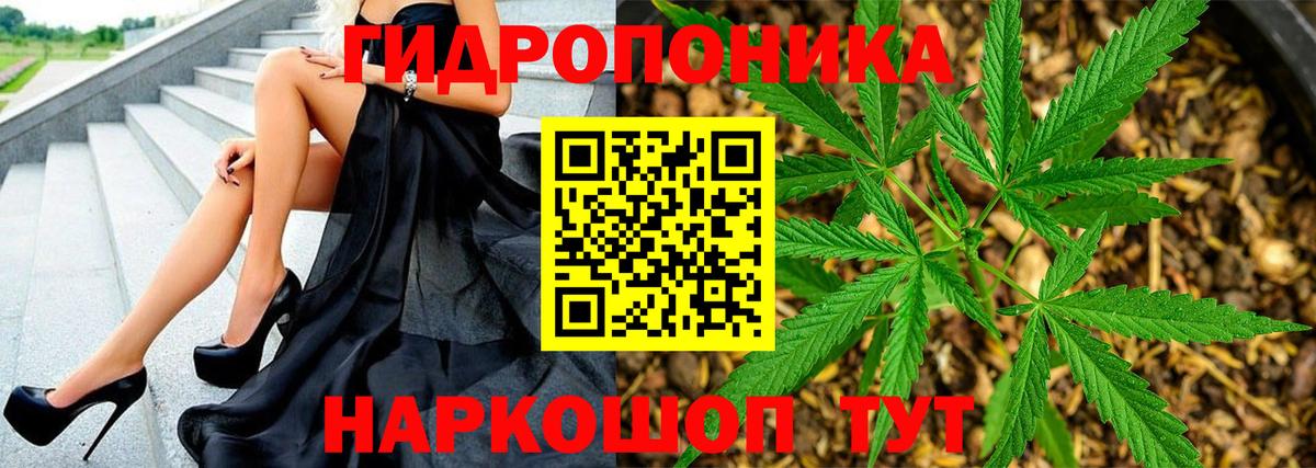 Бошки марихуана сатива Балтийск